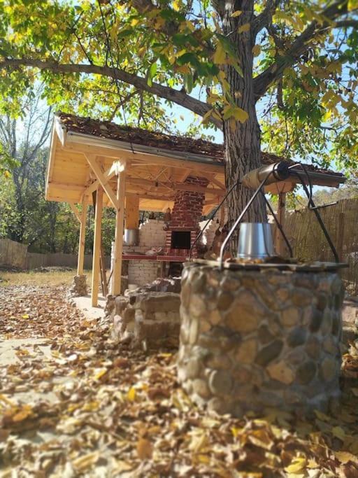 Ижата - Топлина И Уют Borovitsa Εξωτερικό φωτογραφία